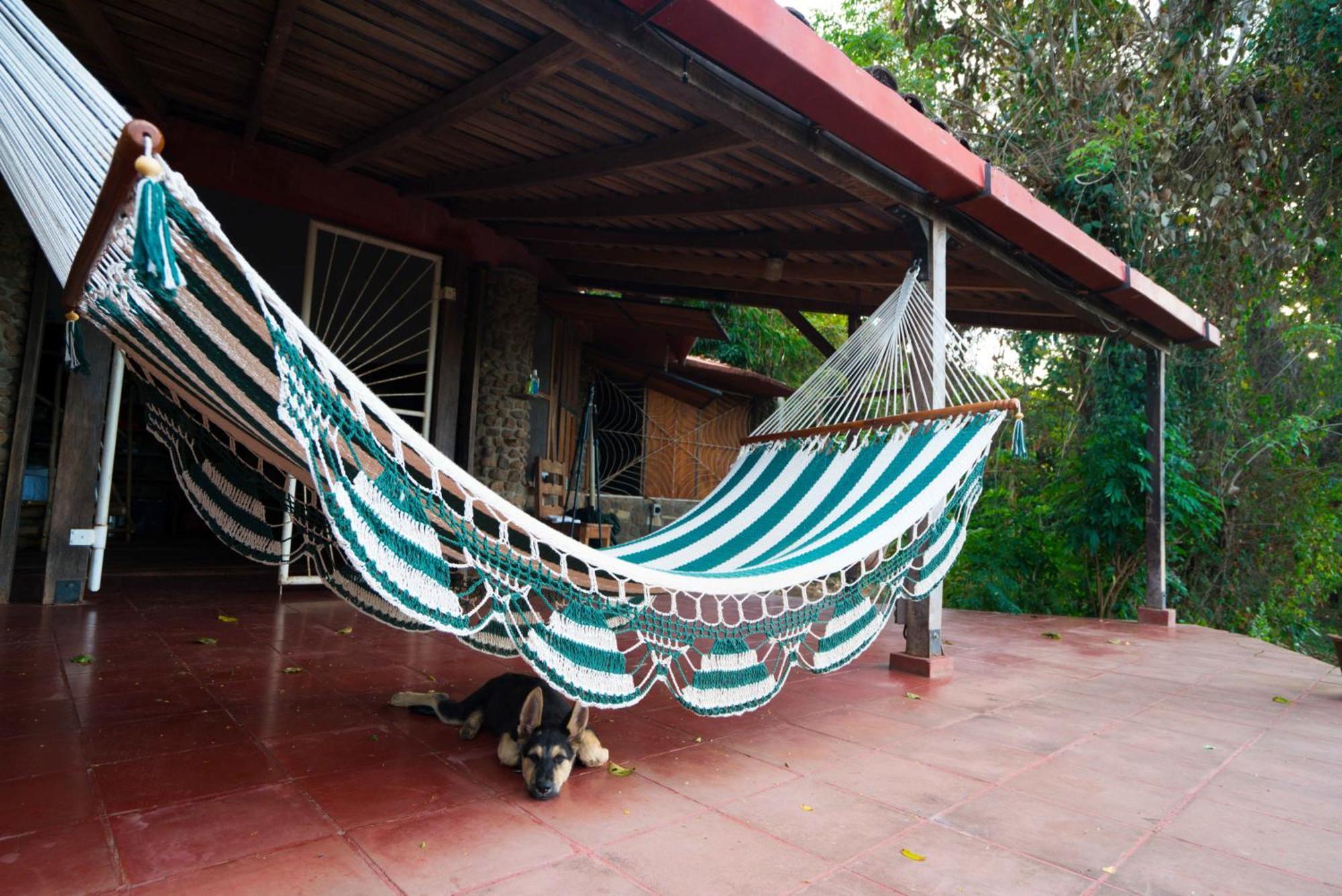 Selvista Guesthouses Balgue Стая снимка